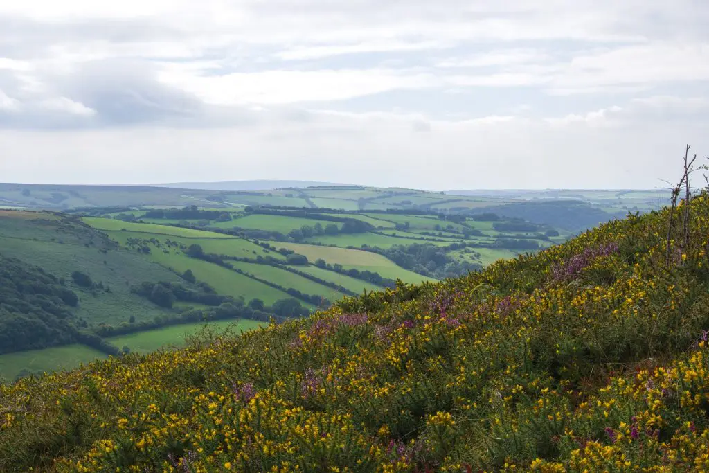 motorhome hire to exmoor