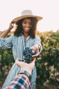 motorhome hire tour to wineries in france and spain